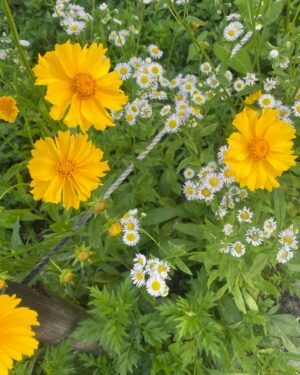 Lee Da-in Instagram - 🌼신나는 하루🌼