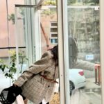 Lee Hae-young Instagram - 북실북실 파마했음~👩🏽‍🦱