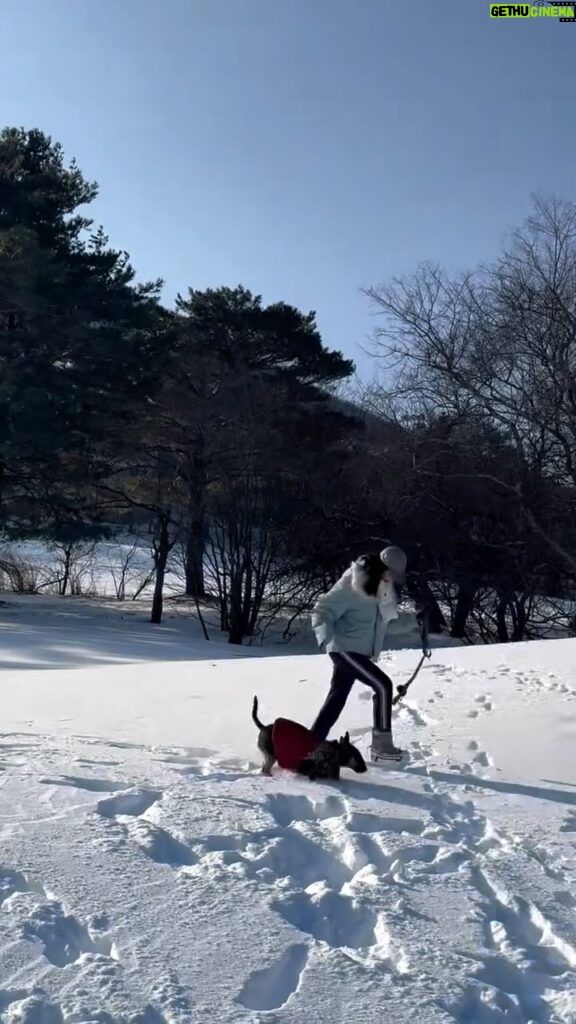 Lee Hae-young Instagram - 부라보랑 눈밭에서~❄️🩶