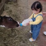 Lee Jung-hyun Instagram - 일요일 아침부터 아기소들 우유주느라 바쁜 서아🤣🍼🐄아기소 힘도 쌘데 서아는 튼튼한 두다리로 잘도 버텨요ㅋㅋ🐏💛 농부서아🌾🐥