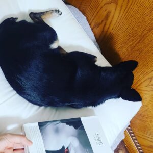 Lee Sang-hee Instagram - 감사한 일에 온전한 감사함을 느낄수 있는 마음을 주소서. 🙏

캐롤라인 냅의 드링킹. 
캐롤라인의 대담한 솔직함에, 변화하려는 의지에, 
그녀의 생에, 
박수를 보냅니다.