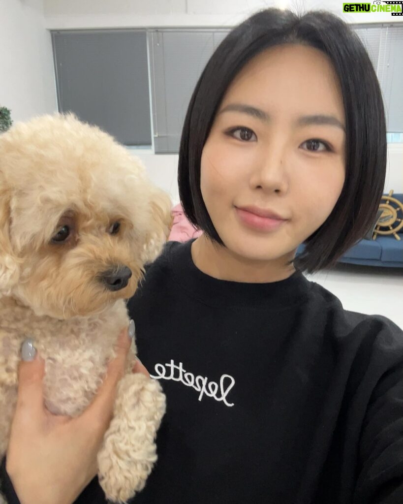 Lee Sang-hwa Instagram - 리아야 여기 좀 보렴🐶📸 르뻬떼 강아지유산균이 곧 출시됩니다! 르뻬떼 매장에서 만나요😝😊 #우리멍멍이건강챙겨 #르뻬떼지킴이리아