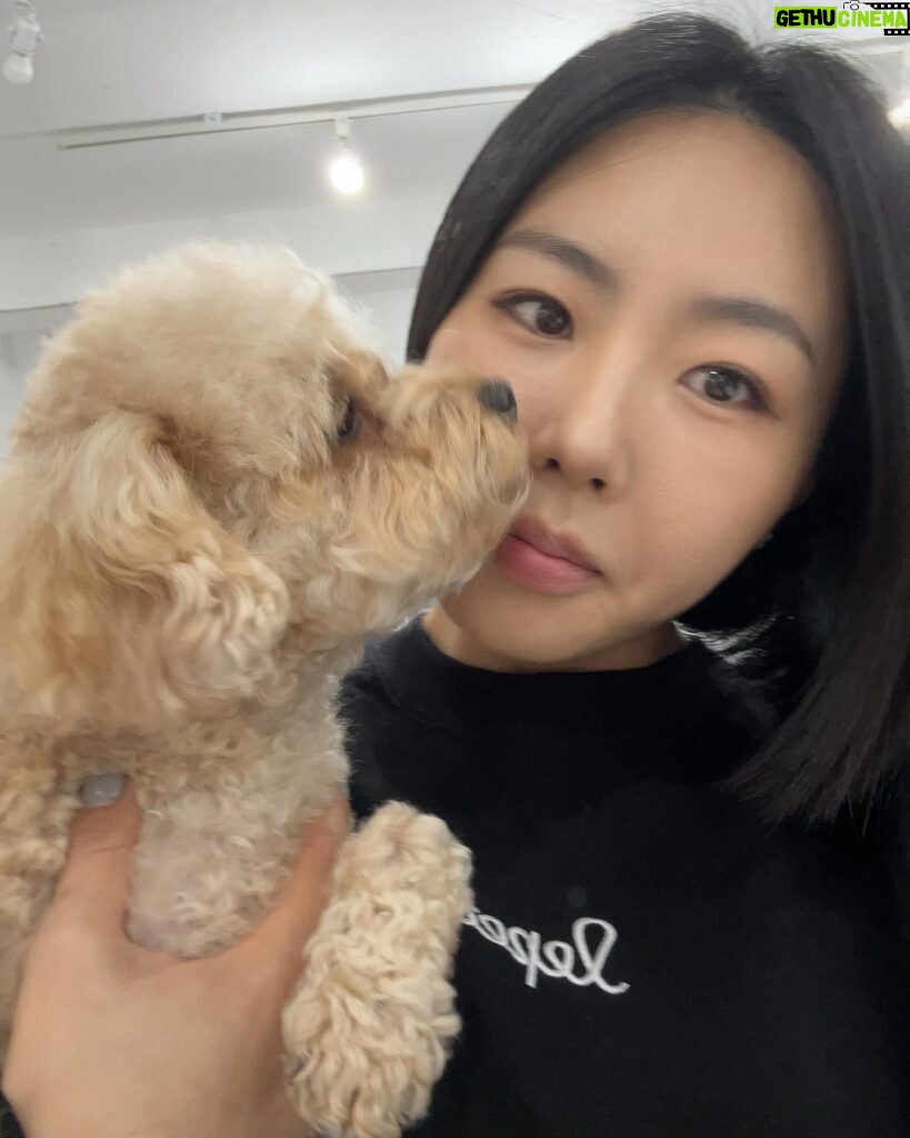 Lee Sang-hwa Instagram - 리아야 여기 좀 보렴🐶📸 르뻬떼 강아지유산균이 곧 출시됩니다! 르뻬떼 매장에서 만나요😝😊 #우리멍멍이건강챙겨 #르뻬떼지킴이리아