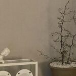 Lee Se-hee Instagram - 진아언니랑 급 만남 🌱🌵🌿 아는 것도 많고 안목도 뛰어나서 예쁜거만 쏙쏙 잘 골라주심✨🙊 취향저격 티세트 선물까지 🥹🫶 예나 지금이나 늘 멋진언니