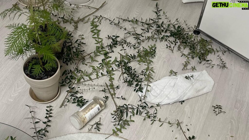 Lee Se-hee Instagram - 진아언니랑 급 만남 🌱🌵🌿 아는 것도 많고 안목도 뛰어나서 예쁜거만 쏙쏙 잘 골라주심✨🙊 취향저격 티세트 선물까지 🥹🫶 예나 지금이나 늘 멋진언니