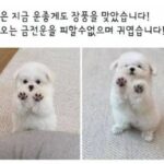 Lee Soo-min Instagram -