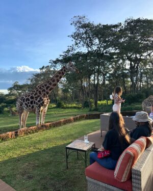 Lee Won-ji Instagram - 뒤늦은 기린 호텔사진🦒🏠🦒
어쩌다 허니문 명소ㅋㅋㅋㅋㅋㅋㅋ잼나는거
온 구석구석 쥬롸푸 디테일이 진짜 도라방스
사장님 디테일에 미친 사람이 분명함

@glory_yongmyoung 
너무너무 재미있었어요
감사합니다🙆🏻‍♀️🙆🏻‍♀️🦒🦒🦒🦒🦒🦒
#지구마불세계여행2