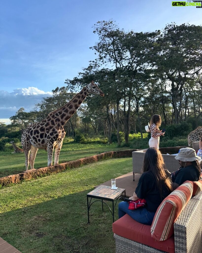 Lee Won-ji Instagram - 뒤늦은 기린 호텔사진🦒🏠🦒 어쩌다 허니문 명소ㅋㅋㅋㅋㅋㅋㅋ잼나는거 온 구석구석 쥬롸푸 디테일이 진짜 도라방스 사장님 디테일에 미친 사람이 분명함 @glory_yongmyoung 너무너무 재미있었어요 감사합니다🙆🏻‍♀️🙆🏻‍♀️🦒🦒🦒🦒🦒🦒 #지구마불세계여행2