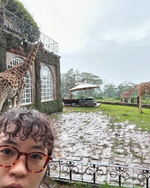 Lee Won-ji Instagram - 뒤늦은 기린 호텔사진🦒🏠🦒
어쩌다 허니문 명소ㅋㅋㅋㅋㅋㅋㅋ잼나는거
온 구석구석 쥬롸푸 디테일이 진짜 도라방스
사장님 디테일에 미친 사람이 분명함

@glory_yongmyoung 
너무너무 재미있었어요
감사합니다🙆🏻‍♀️🙆🏻‍♀️🦒🦒🦒🦒🦒🦒
#지구마불세계여행2
