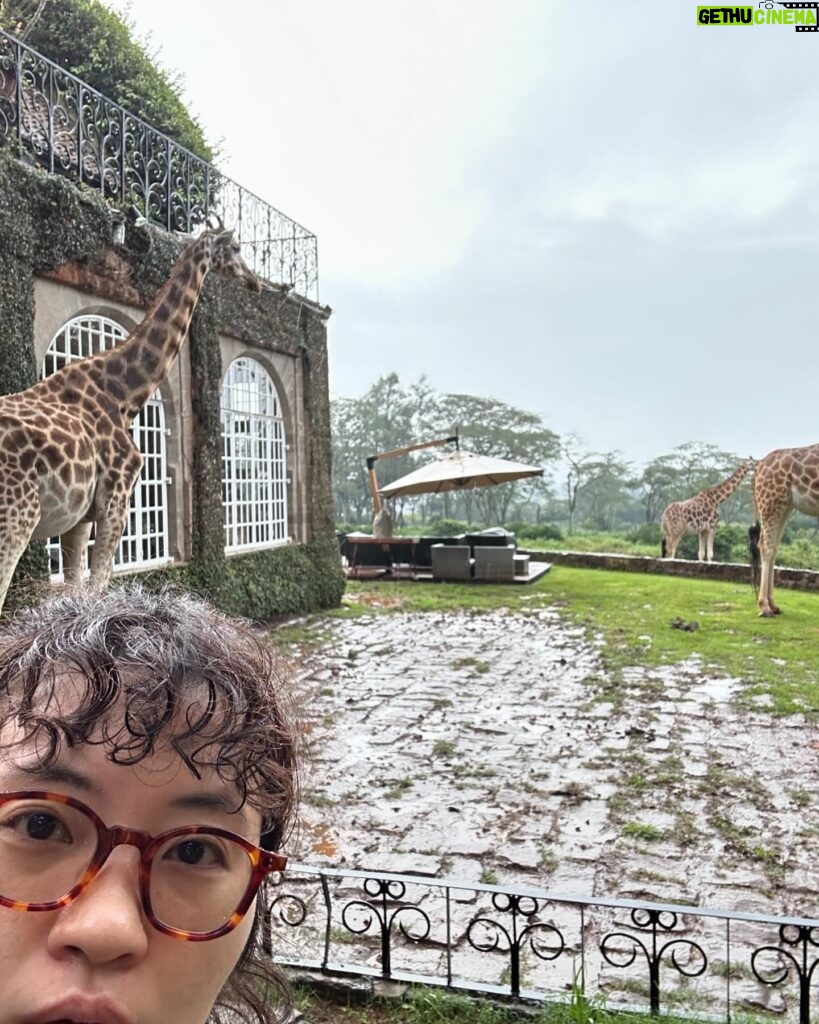 Lee Won-ji Instagram - 뒤늦은 기린 호텔사진🦒🏠🦒 어쩌다 허니문 명소ㅋㅋㅋㅋㅋㅋㅋ잼나는거 온 구석구석 쥬롸푸 디테일이 진짜 도라방스 사장님 디테일에 미친 사람이 분명함 @glory_yongmyoung 너무너무 재미있었어요 감사합니다🙆🏻‍♀️🙆🏻‍♀️🦒🦒🦒🦒🦒🦒 #지구마불세계여행2