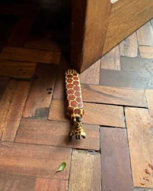 Lee Won-ji Instagram - 뒤늦은 기린 호텔사진🦒🏠🦒
어쩌다 허니문 명소ㅋㅋㅋㅋㅋㅋㅋ잼나는거
온 구석구석 쥬롸푸 디테일이 진짜 도라방스
사장님 디테일에 미친 사람이 분명함

@glory_yongmyoung 
너무너무 재미있었어요
감사합니다🙆🏻‍♀️🙆🏻‍♀️🦒🦒🦒🦒🦒🦒
#지구마불세계여행2