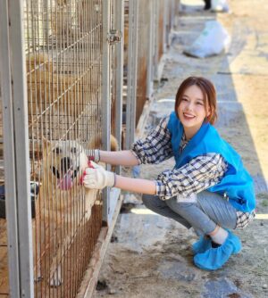 Lee Yoo-jin Instagram - 멍멍!🐶 사랑스러운 아기들💓

#사지말고입양하세요 #유어사이드봉사단 #유어사이드
#유기견봉사 #레인보우쉼터
