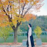 Lee Young-ae Instagram - 마에스트라 촬영중~ 가을만끽 소확행❤️ #마에스트라 #소확행