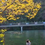Lee Young-ae Instagram - 마에스트라 촬영중~ 가을만끽 소확행❤️ #마에스트라 #소확행