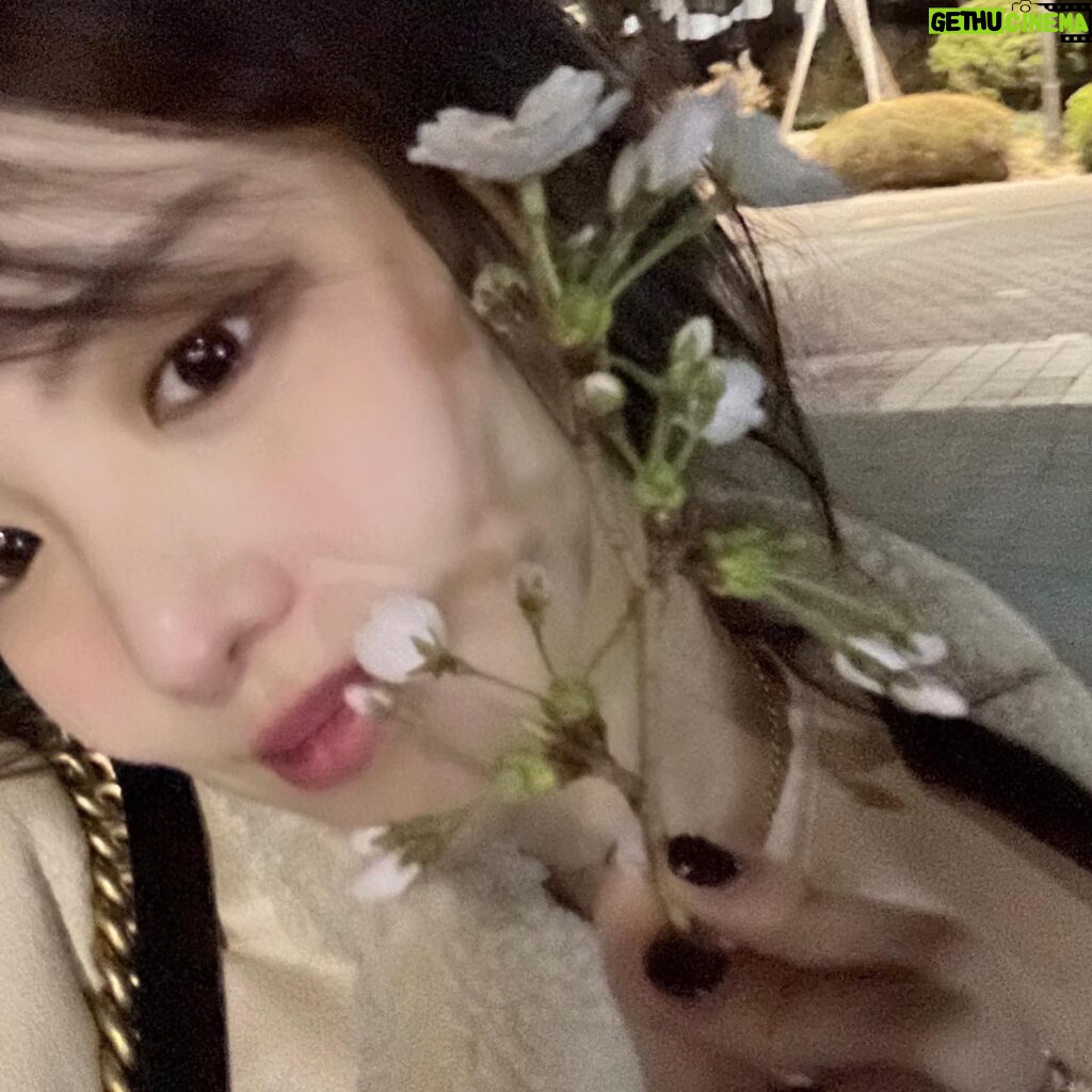 Lee Yul-eum Instagram - 우연히 주운 봄