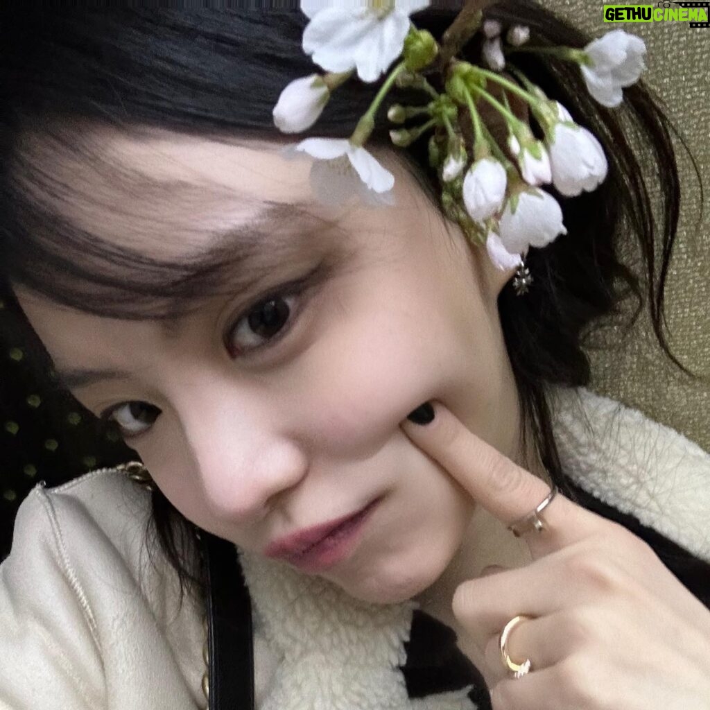 Lee Yul-eum Instagram - 우연히 주운 봄