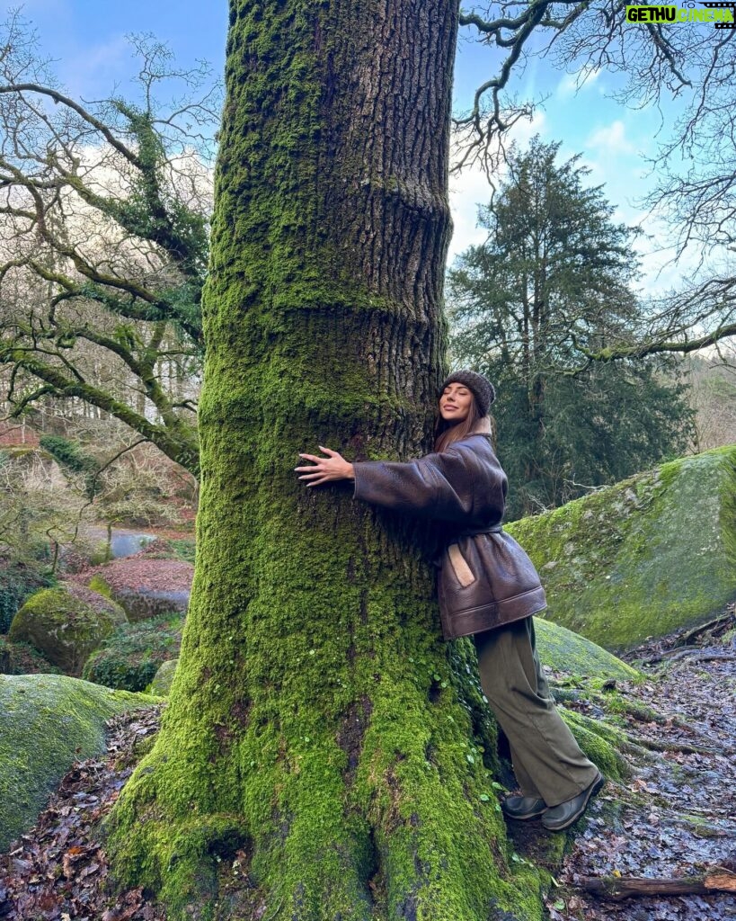 Lena Guillou Instagram - LE SAVIEZ-VOUS ? La thérapie par les arbres a fait ses preuves au Japon et vise à baisser le stress, les tensions nerveuses, améliore la concentration et le système immunitaire 😊 En effet les bienfaits du « tree hugging » sont prouvés alors go vous balader en forêt 🌳