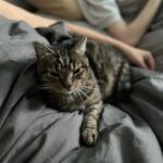 Lena Philipsson Instagram - Hårt arbete i Berlin hos Saga.