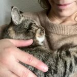 Lena Philipsson Instagram - Det är ju mysigt ändå med katt..