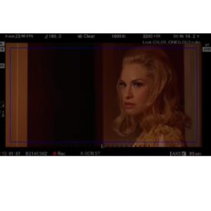 Leslie Grossman Instagram - Calico with a special guest appearance by my old buddy @mrbrycejohnson ❤️