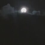 Letícia Lima Instagram - Claro, pela câmera do celular ela nunca fica tão incrível… Mas hoje ela veio tão arrebatadora e prateada que eu precisava tentar dividir com quem passa por aqui nesse final de domingo só pra implorar: Larga o celular agora e olha pro céu! ✨ E viva a contradição! rs Boa noite!