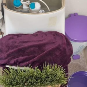 Leticia Calderón Instagram - Porfavor!!! Tomemos conciencia. No hay agua. La poca que hay debemos cuidarla.