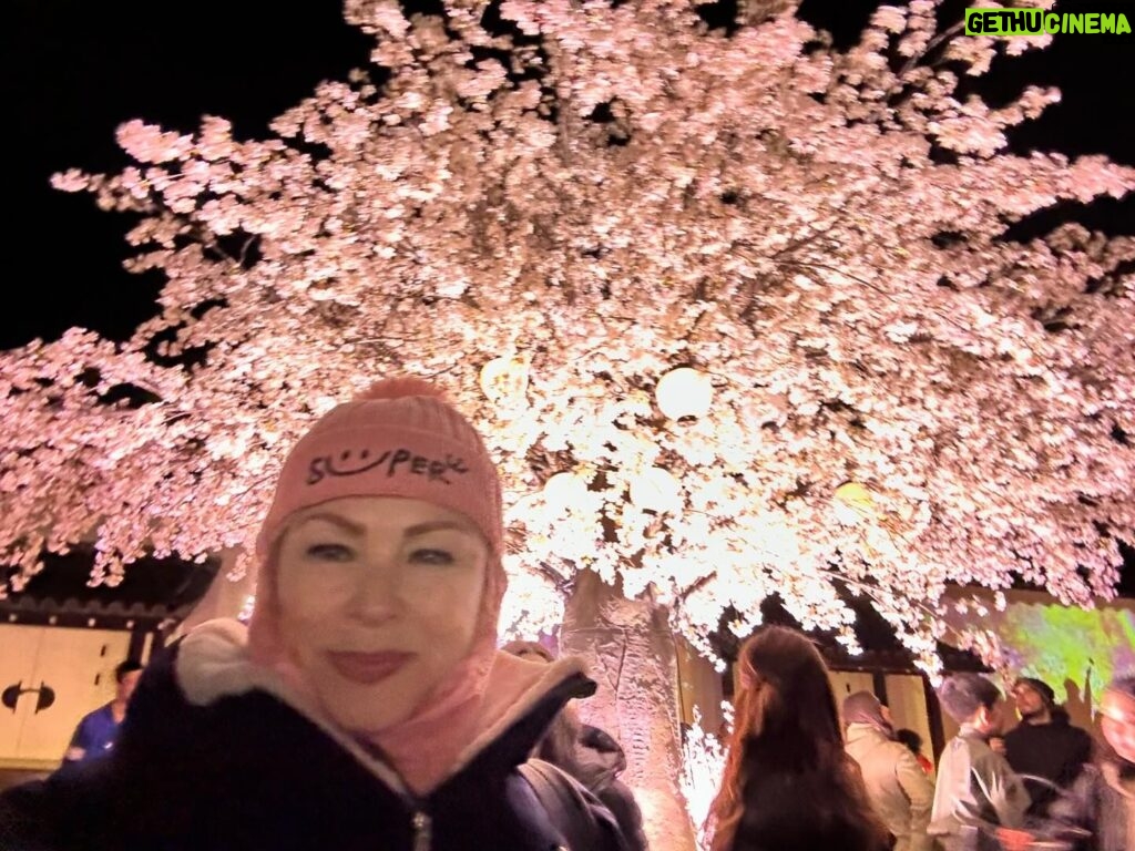 Leticia Calderón Instagram - 1.-árbol emblemático de Japón “Sakura”. 2.-Me emocioné al ver el tren de la Hello Kitty. 3.-Templo dorado “Kin Kami Ji”. 5.-Para mi flores exóticas. Preciosas. 6.-Vimos muchas personas usando el traje típico kimono (hay más de 10, 12 tipos de kimono) (el traje de los hombres se llama kimono montsuki). 7.-Bosque de bambú “Arashiyama”. 8.-vean el grosor (había más gruesos). 9.-nos tocó otra boda. 10.-y estas personas admirables (les dicen piernudos). Las calles no siempre estas planas, hay muchas subidas.