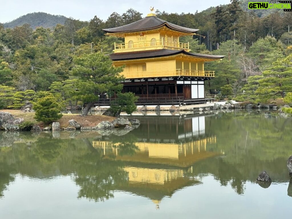 Leticia Calderón Instagram - 1.-árbol emblemático de Japón “Sakura”. 2.-Me emocioné al ver el tren de la Hello Kitty. 3.-Templo dorado “Kin Kami Ji”. 5.-Para mi flores exóticas. Preciosas. 6.-Vimos muchas personas usando el traje típico kimono (hay más de 10, 12 tipos de kimono) (el traje de los hombres se llama kimono montsuki). 7.-Bosque de bambú “Arashiyama”. 8.-vean el grosor (había más gruesos). 9.-nos tocó otra boda. 10.-y estas personas admirables (les dicen piernudos). Las calles no siempre estas planas, hay muchas subidas.