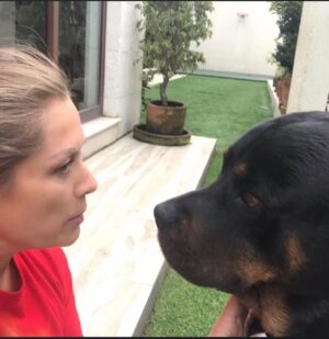 Leticia Calderón Instagram - Empiezas tu, sigue él, se pasa él, lo regañas, le pides perdón, final feliz😀