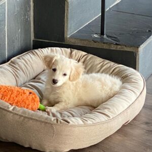 Lidya Jewett Instagram - i am complete. this is flora.