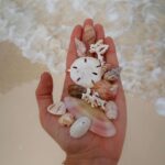 Lilah Pate Instagram - my shell collection is coming along nicely 🐚🐬🪸