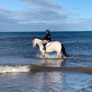 Lilly Aspell Instagram - Bailey and I had so much fun at the beach today, I just love him! Thank you to @thornbrook_stud for trusting me with him and @omegaequine and @batessaddles for your continued support. 

#showjumping #funatthebeach #poniesofinstagram