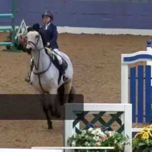 Lilly Aspell Instagram - Wow !!! What a weekend. I can never find the words to express what this pony means to me. We bagged our way into the Second Rounds of Newcomers on Saturday and on Sunday we missed out BY 1 PLACE out of a strong 54 starters to qualify for Royal International at @hicksteadevents. Thrilled and heartbroken all in the same breath. No pony deserves to get there more for all he has done for me. Bailey I love you !! Thank you to my incredible team of sponsors @omegaequine @batessaddles @lemieuxproductsofficial @ljb_farriery @samshield_unitedkingdom @samshieldofficial 💙 @thornbrook_stud #poniesofinstagram #britishshowjumping #agirlwithgoals #actress #showjumper #twohearts #lillyaspell #olympicdreams #cheekybobbysparrow