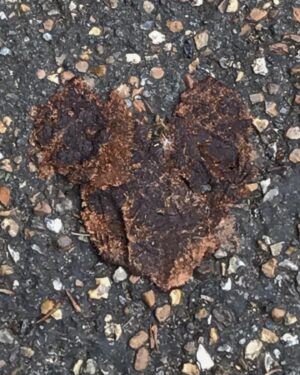 Lily Newmark Instagram - Here’s a dog poo I passed in the park the other day. From a distance, it just looked like a smooshed poop. However, as I proceeded to approach and step around it... to look at it from a different perspective... I saw it was in the shape of a heart... and that made me smile. Sometimes you’ve just gotta look at shit differently. 🤎