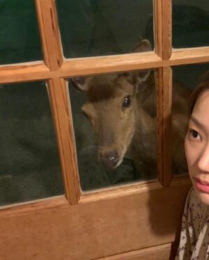 Lim Yu-bin Instagram - しかしかいない 사슴