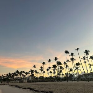 Lina Castrillón Instagram - ☀️2024 🌴
Mente feliz 
Vida feliz ….

💭 De ahí viene todo …

Que sea un año amoroso para todos … 🙌🙏🏻