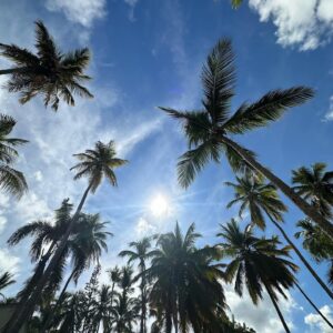 Lina Castrillón Instagram - ☀️2024 🌴
Mente feliz 
Vida feliz ….

💭 De ahí viene todo …

Que sea un año amoroso para todos … 🙌🙏🏻