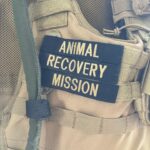 Lina Esco Instagram - spent the day with one of my heroes: KUDO founder of @arminvestigations and @taylorarminvestigations. please educate yourselves on one of the most important organizations: Animal Recovery Mission (ARM) utilizes specialized tactical strategies to infiltrate, document, and expose criminal and inhumane acts against animals. it’s core mission: to derail animal cruelty operations, bring forth justice, and educate the public on the atrocities of unseen and unheard of animal exploitation and abuse. please donate whatever you can. LINK IN MY BIO.
