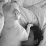 Lina Esco Instagram - my alarm