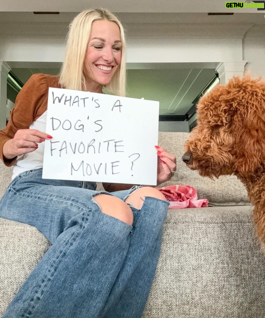 Lindsay Czarniak Instagram - Pup entertainment 🐾#JOTD #jokes #laugh #puppies #dpgs #family #dinosaurs