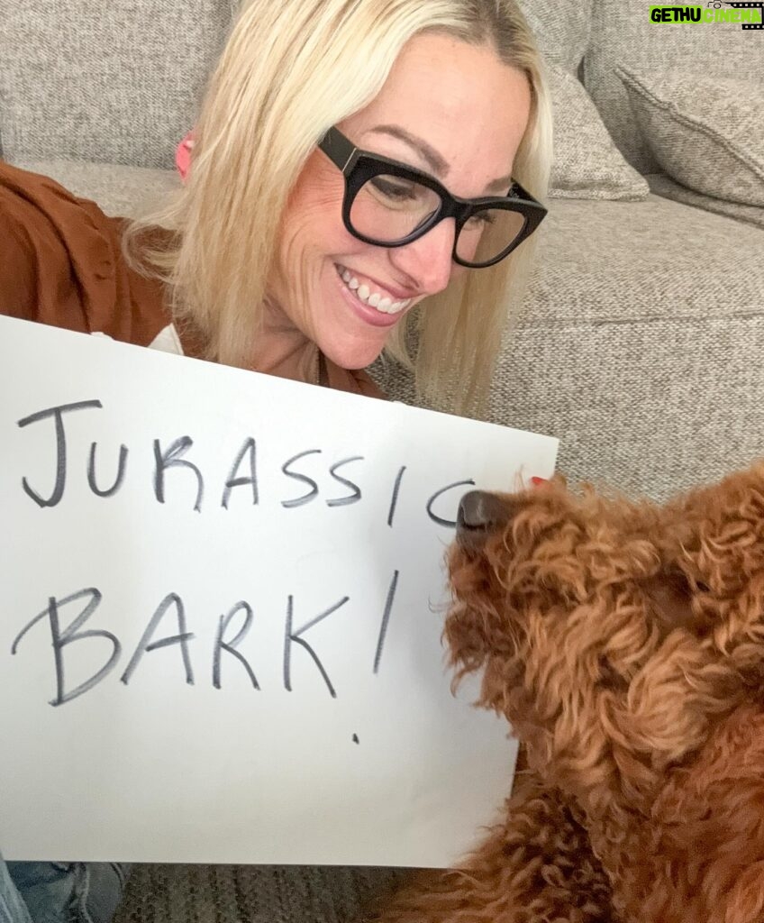 Lindsay Czarniak Instagram - Pup entertainment 🐾#JOTD #jokes #laugh #puppies #dpgs #family #dinosaurs