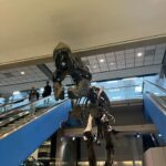 Lindsay Czarniak Instagram – Can you tell which airport we were flying into? One of our faves for sure. Love a life size T. Rex! Our resident paleontologist never gets tired of this #JOTD #jokes #laugh #dinosaurs #airport