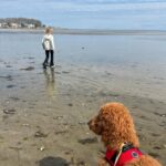 Lindsay Czarniak Instagram – Discovered today … our pup loves water #puppies #summer #mylesfiles #love #family