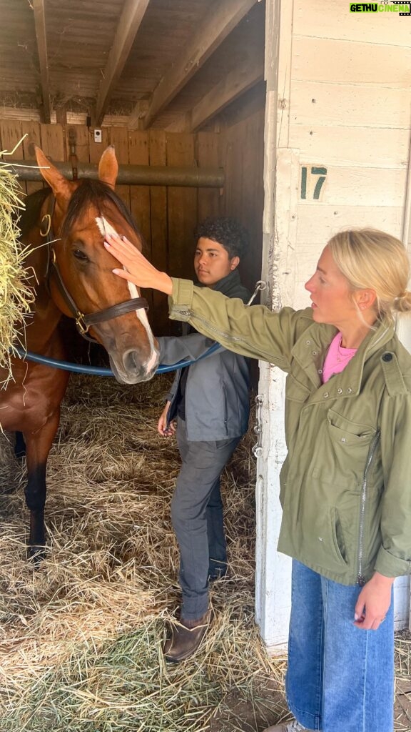 Lindsay Czarniak Instagram - I couldn't wait to share this! As part of my partnership with Westpoint Thoroughbreds we had the chance to go to the barns this morning to see the Derby horses the day after. We saw Brian Hernandez jr - the jockey who rode Mystik Dan to victory in the Kentucky Derby. Horseracing, football, Olympics, any sport...I will never get tired of hearing perspective from athletes and others who see their dreams realized. Congrats and thanks @b_hernandezjr for the time and thanks @westpointtbreds and @americasbestracing for this incredible ride. #horses #horseracing #thoroughbreds #thoroughbred #sports #kentuckyderby #astakeinstardom