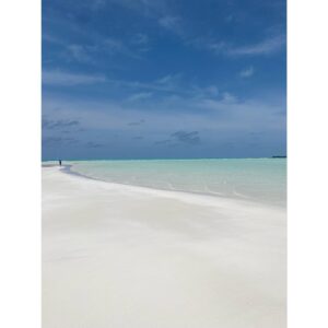 Lindsay Price Instagram - For whatever we lose ( like a you or a me) it’s always our self we find in the SEA. - E.E. Cummings