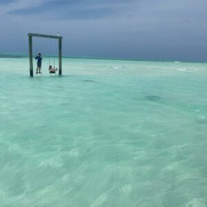 Lindsay Price Instagram - For whatever we lose ( like a you or a me) it’s always our self we find in the SEA. - E.E. Cummings