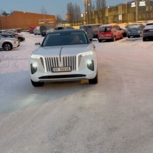 Linni Meister Instagram - Reklame/samarbeid Ikke verst å hente denne lekre HONGQI E-HS9 fra @hongqi.norge på bursdagen min🥳 Jeg er så heldig å få kjøre dette gliset av en bil i noen uker✨ Som den bilentusiasten jeg er, så synes jeg dette er helt RÅTT! Elsker den allerede🤍 Så langt gir jeg kjøreopplevelsen, komforten og massasjen i setene 10/10👌🏽