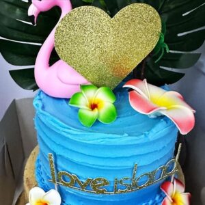 Linsey Godfrey Instagram - Birthday shenanigans! 
Nothing more fun than a @loveisland themed birthday!

@kimbpics and I had a joint birthday party!