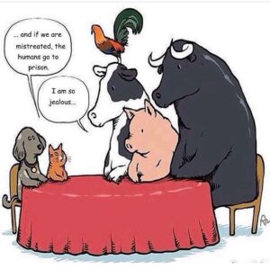 Lisa Ambalavanar Instagram - 🐮🐷🐔