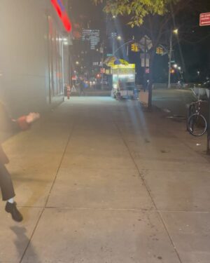 Lisa Hanawalt Instagram - 2023 coping via idiocy, dancing, music, animals, art, friends, family, and arson jk :)